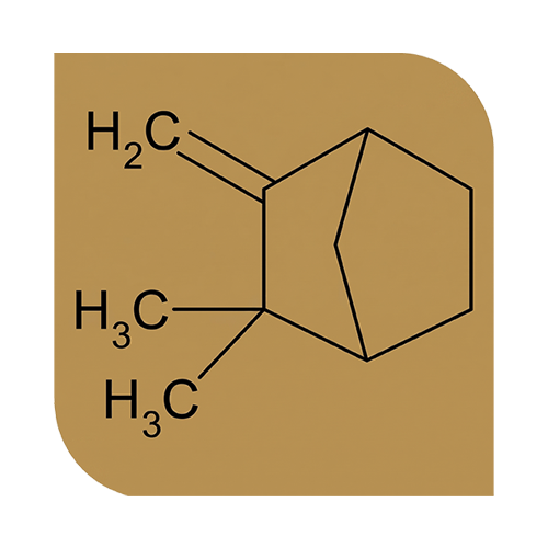 Camphene