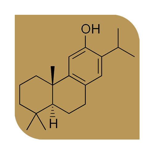 Ferruginol