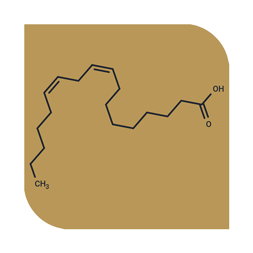 Linoleic acid